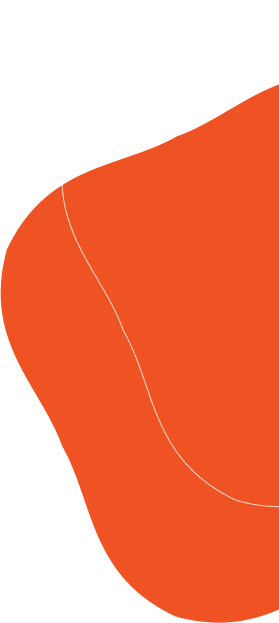 shape