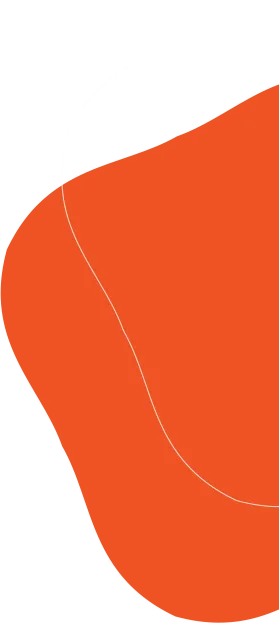 shape